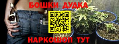 прущие грибы Тула