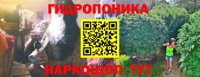 прущие грибы Тула